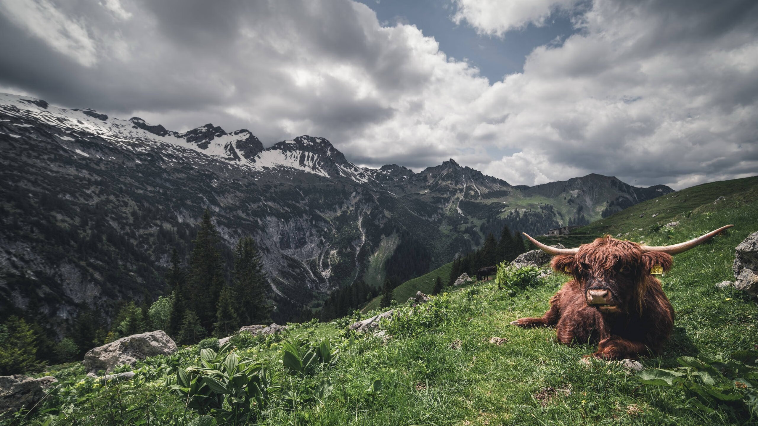 墨西哥队前锋洛佩斯在巴黎奥运会上表现出色，墨西哥女演员佩罗妮