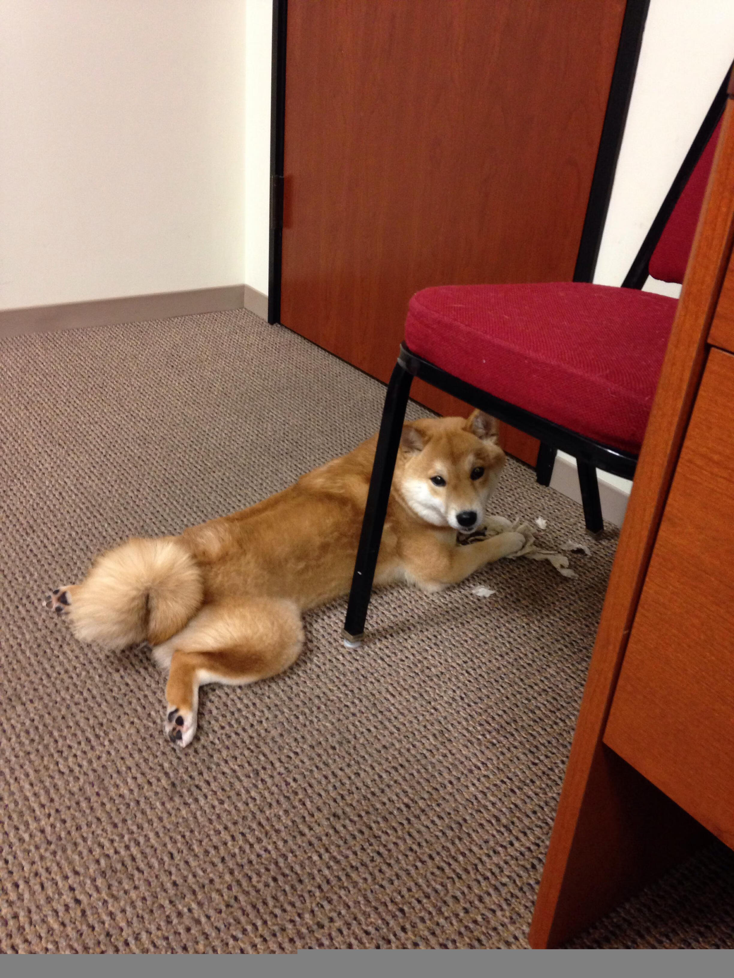 墨西哥队前锋洛佩斯在巴黎奥运会上表现出色，墨西哥女演员佩罗妮