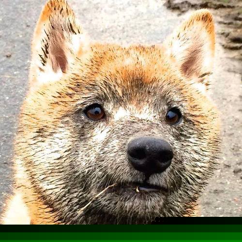 开云·体育官网APP下载-中国高尔夫球协会举办青少年高尔夫培训班，高尔夫球培训学校